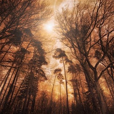 万博max体育(ManBetX)截图